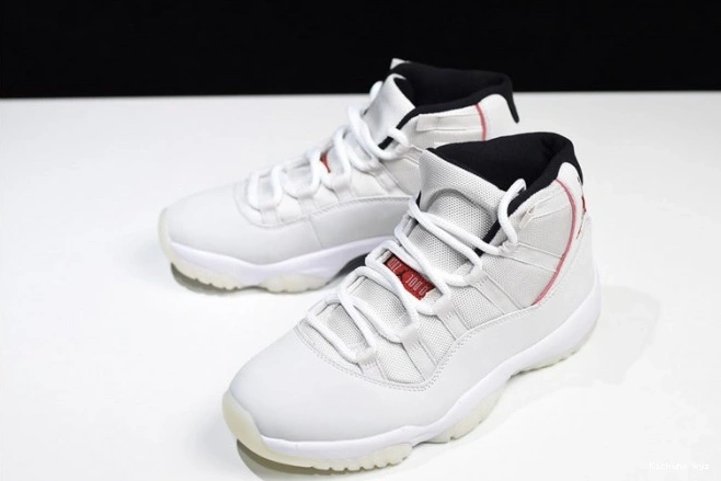 378037-016 Jordan Retro Tint 11 Platinum Air 0624